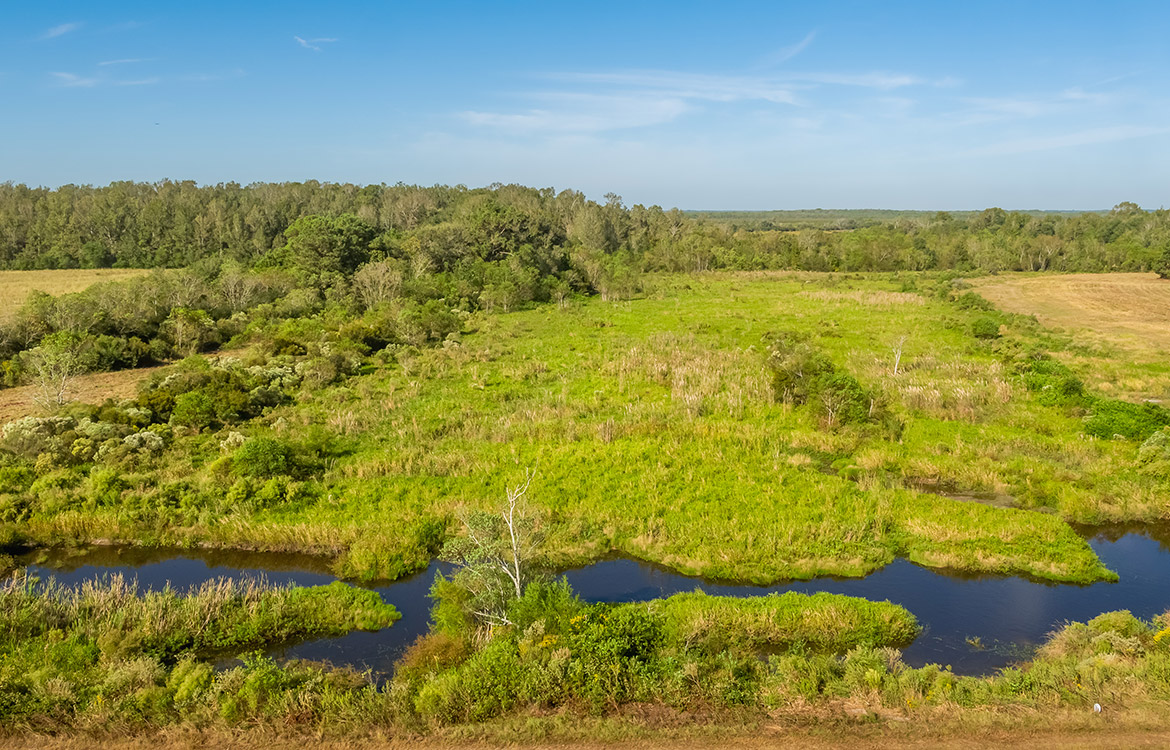 Devers Investment Ranch 332 Acres For Sale In Liberty County Image 12