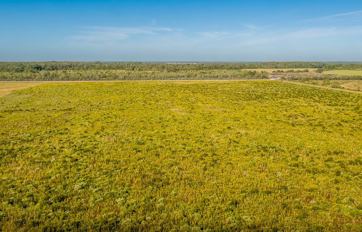 Devers Investment Ranch 332 Acres For Sale In Liberty County Image 13