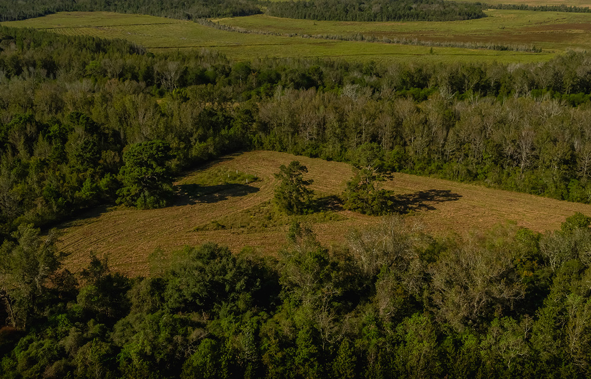 Devers Investment Ranch 332 Acres For Sale In Liberty County Image 15