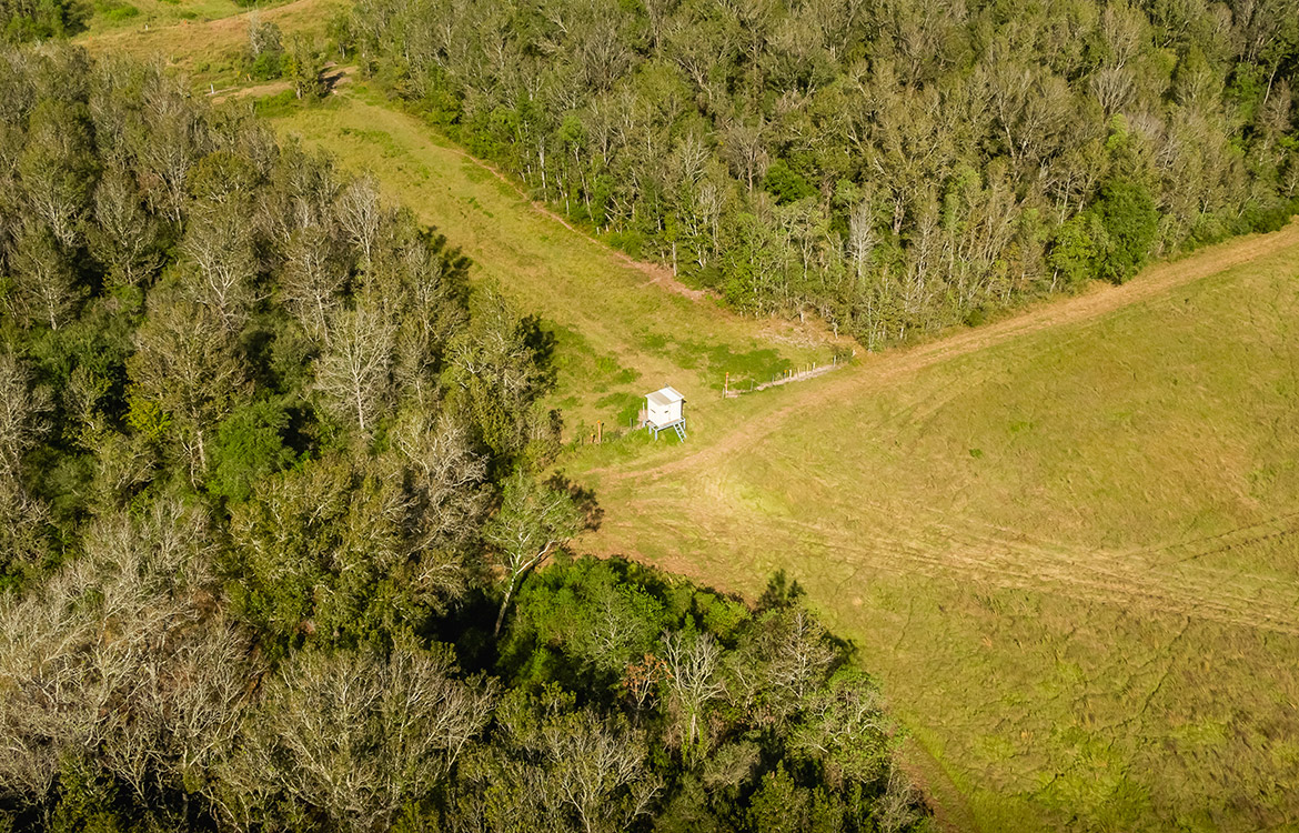 Devers Investment Ranch 332 Acres For Sale In Liberty County Image 16