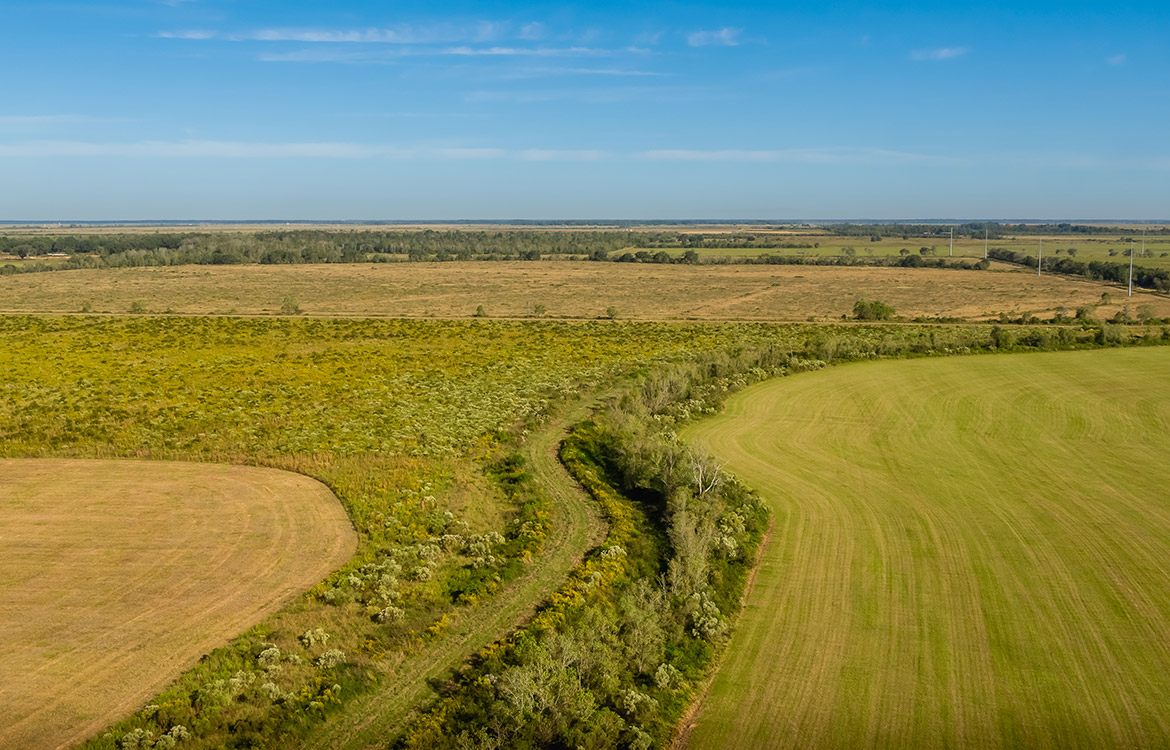Devers Investment Ranch 332 Acres For Sale In Liberty County Image 17