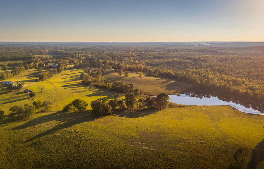 Monticello Ranch 550 Acre Ranch For Sale in Marion County Texas Image 36