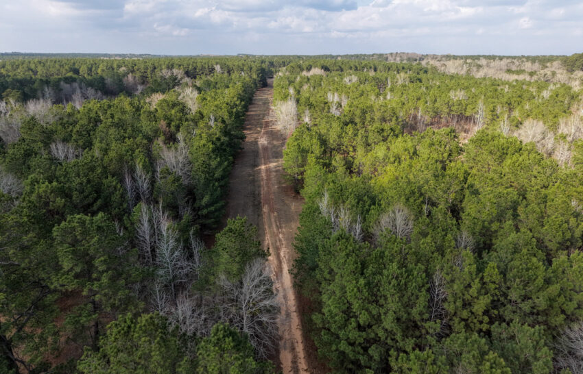 Eastwood Ranch 115 Acre Property for Sale in Panola County, Texas Image 10