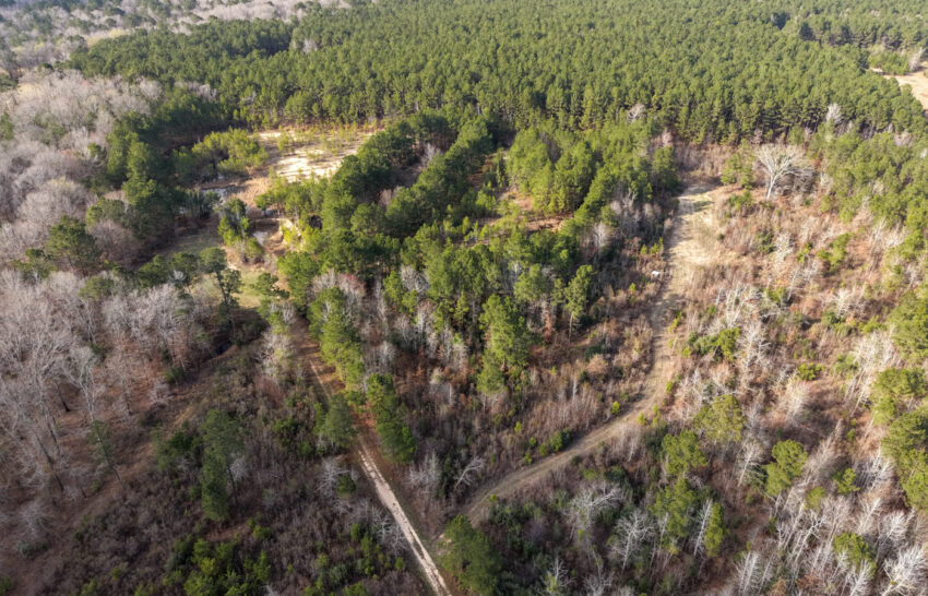 Eastwood Ranch 115 Acre Property for Sale in Panola County, Texas Image 11