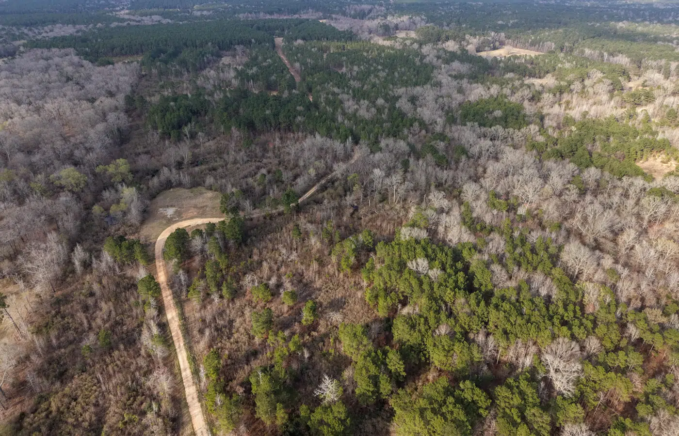 Eastwood Ranch 115 Acre Property for Sale in Panola County, Texas Image 12