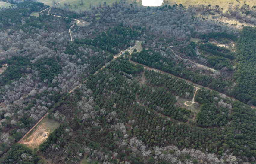 Eastwood Ranch 115 Acre Property for Sale in Panola County, Texas Image 13