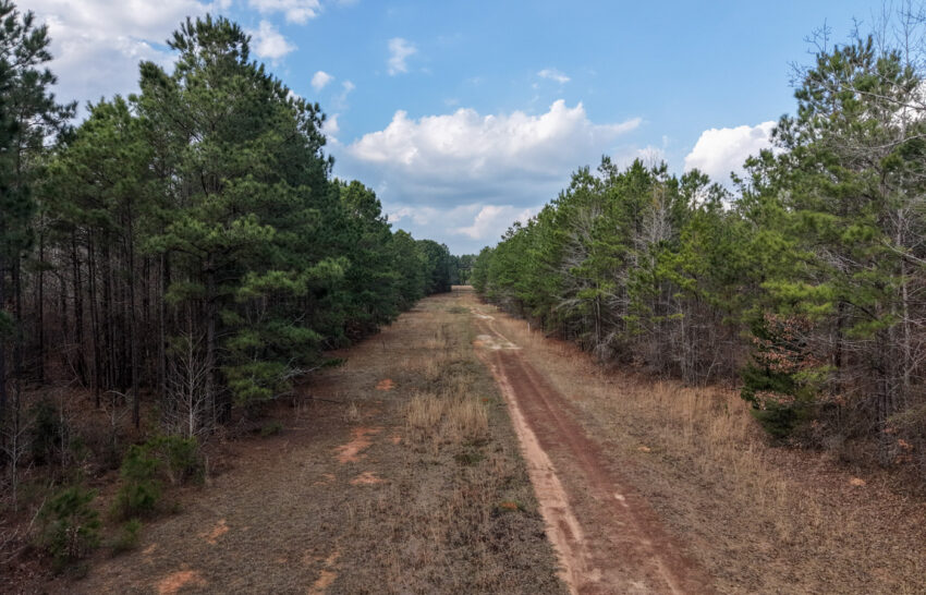 Eastwood Ranch 115 Acre Property for Sale in Panola County, Texas Image 15