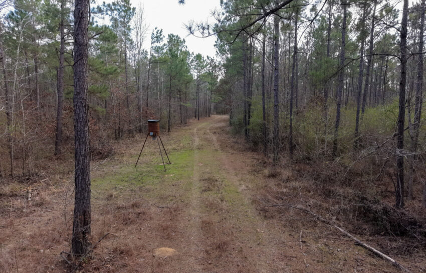 Eastwood Ranch 115 Acre Property for Sale in Panola County, Texas Image 16