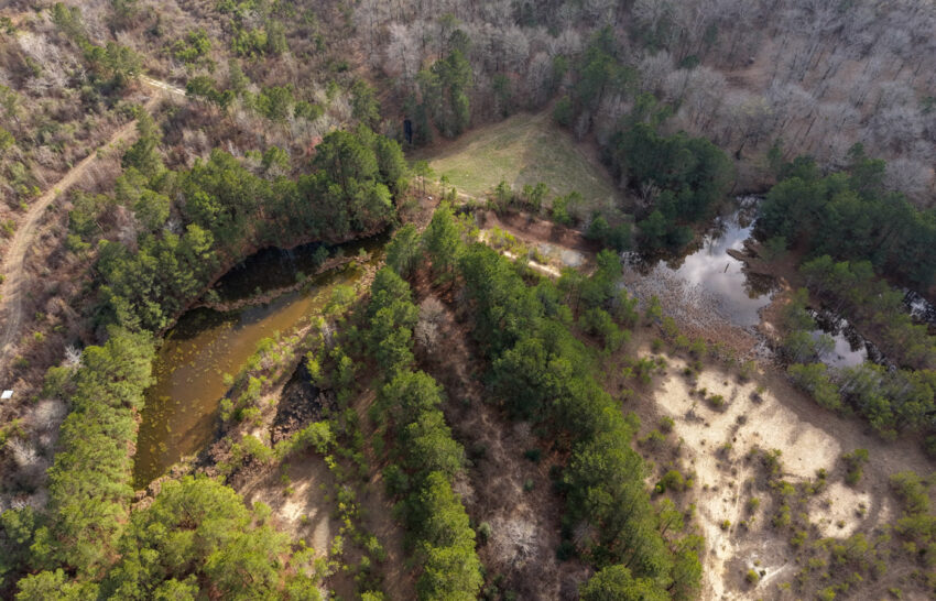 Eastwood Ranch 115 Acre Property for Sale in Panola County, Texas Image 17