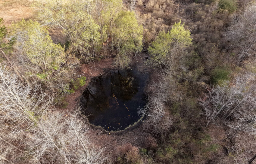 Eastwood Ranch 115 Acre Property for Sale in Panola County, Texas Image 18