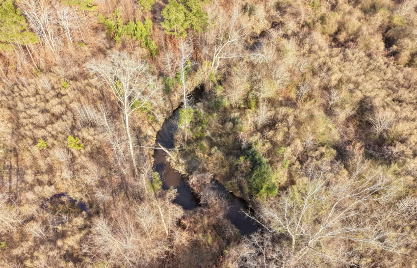 Eastwood Ranch 115 Acre Property for Sale in Panola County, Texas Image 19