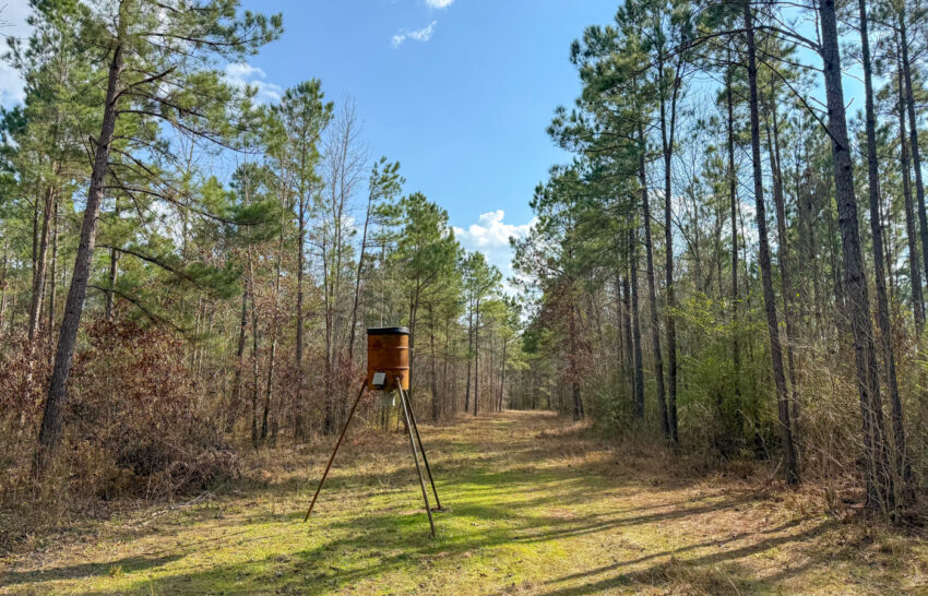 Eastwood Ranch 115 Acre Property for Sale in Panola County, Texas Image 2