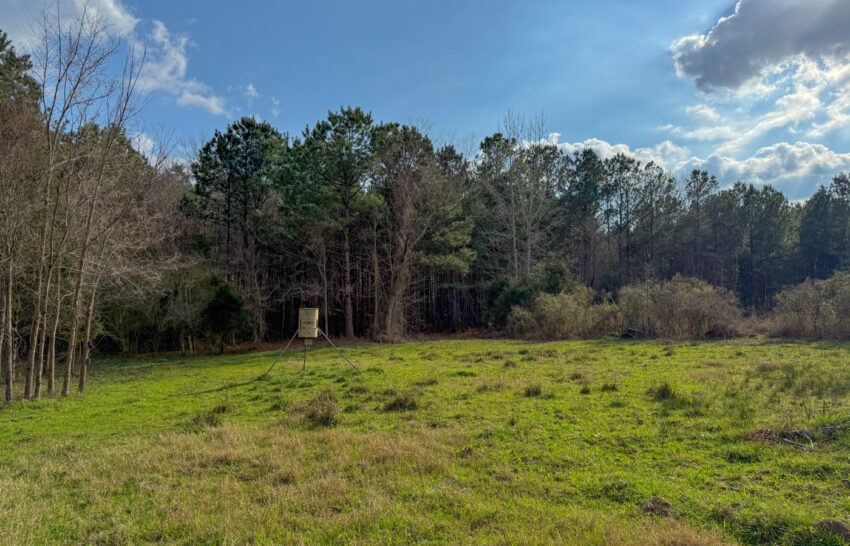 Eastwood Ranch 115 Acre Property for Sale in Panola County, Texas Image 5