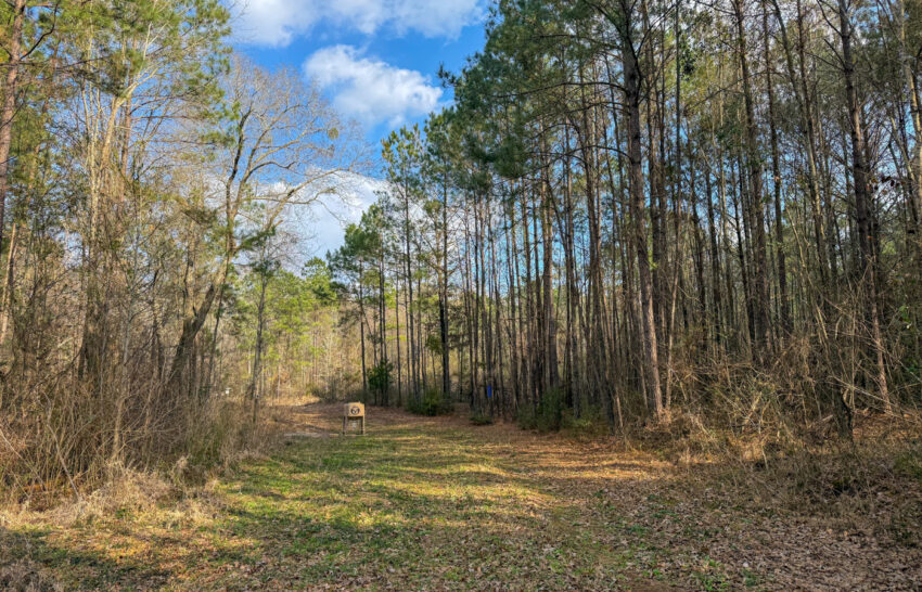 Eastwood Ranch 115 Acre Property for Sale in Panola County, Texas Image 6