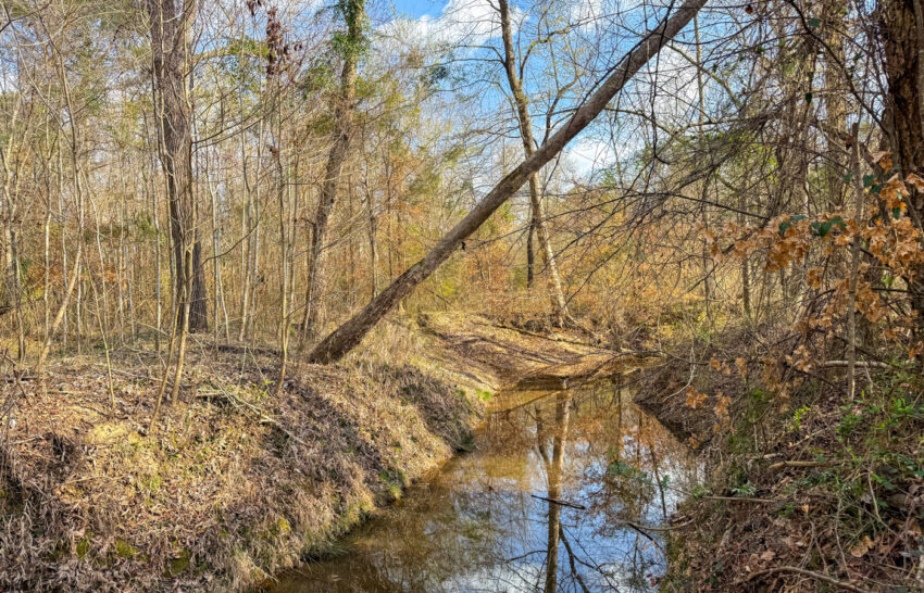 Eastwood Ranch 115 Acre Property for Sale in Panola County, Texas Image 8