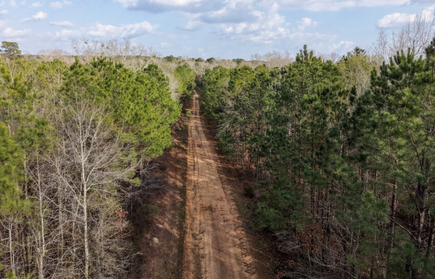 Eastwood Ranch 115 Acre Property for Sale in Panola County, Texas Image 9