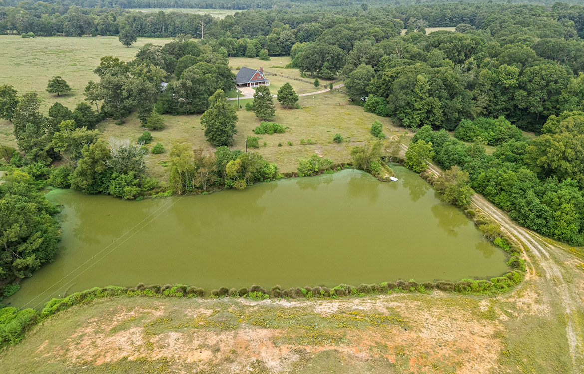 The Oasis Ranch 61 Acre Ranch For Sale In Shelby County Image 17