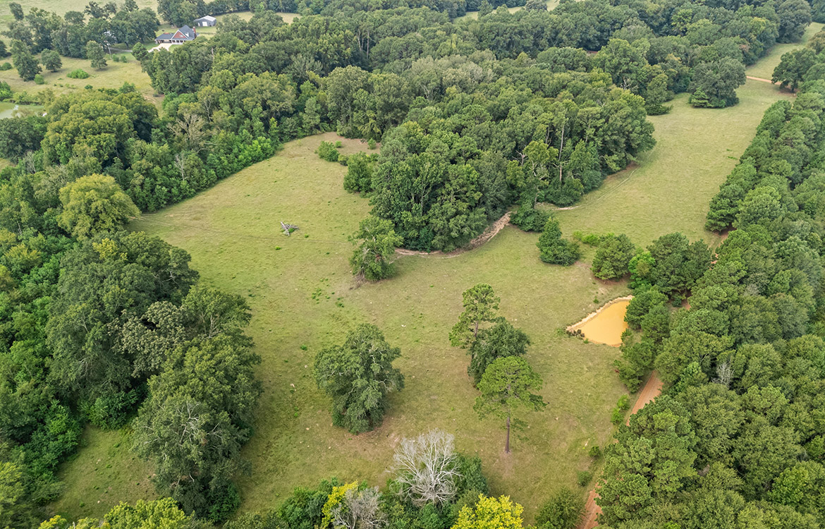 The Oasis Ranch 61 Acre Ranch For Sale In Shelby County Image 20
