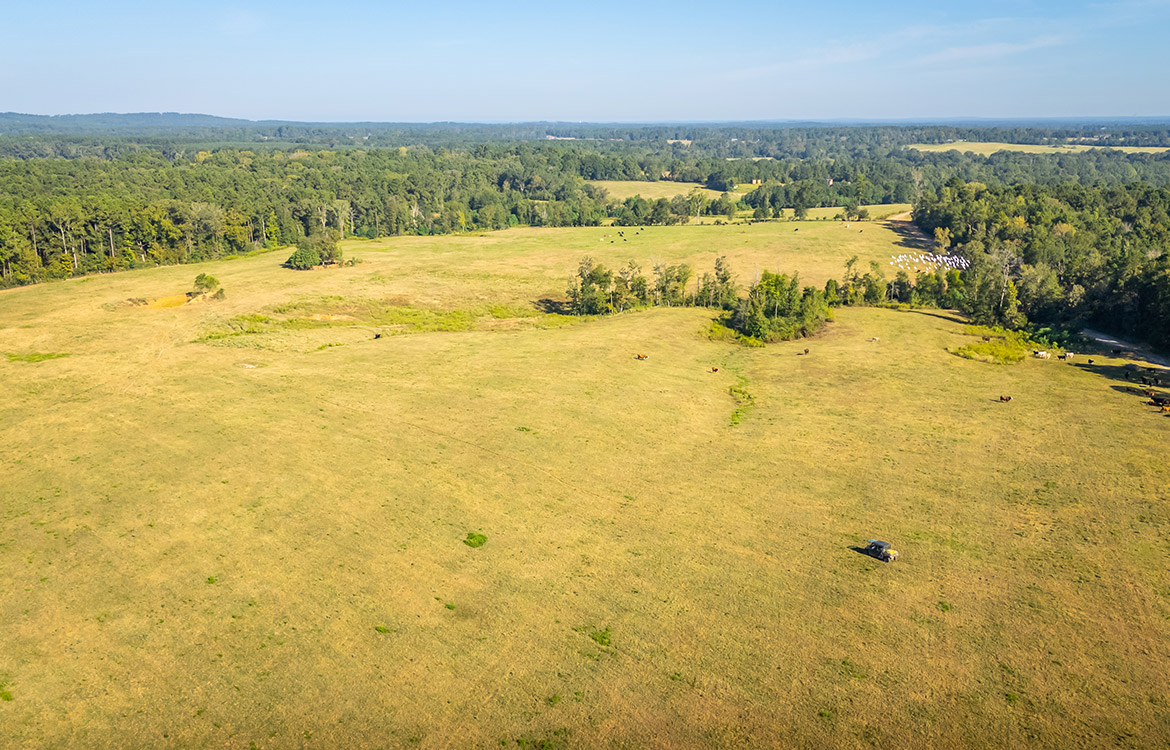KC Ranch 730 Acre Ranch For Sale In Shelby County Texas Image 10