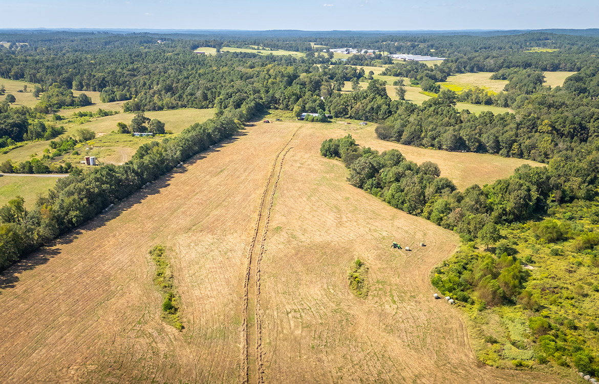 KC Ranch 730 Acre Ranch For Sale In Shelby County Texas Image 13