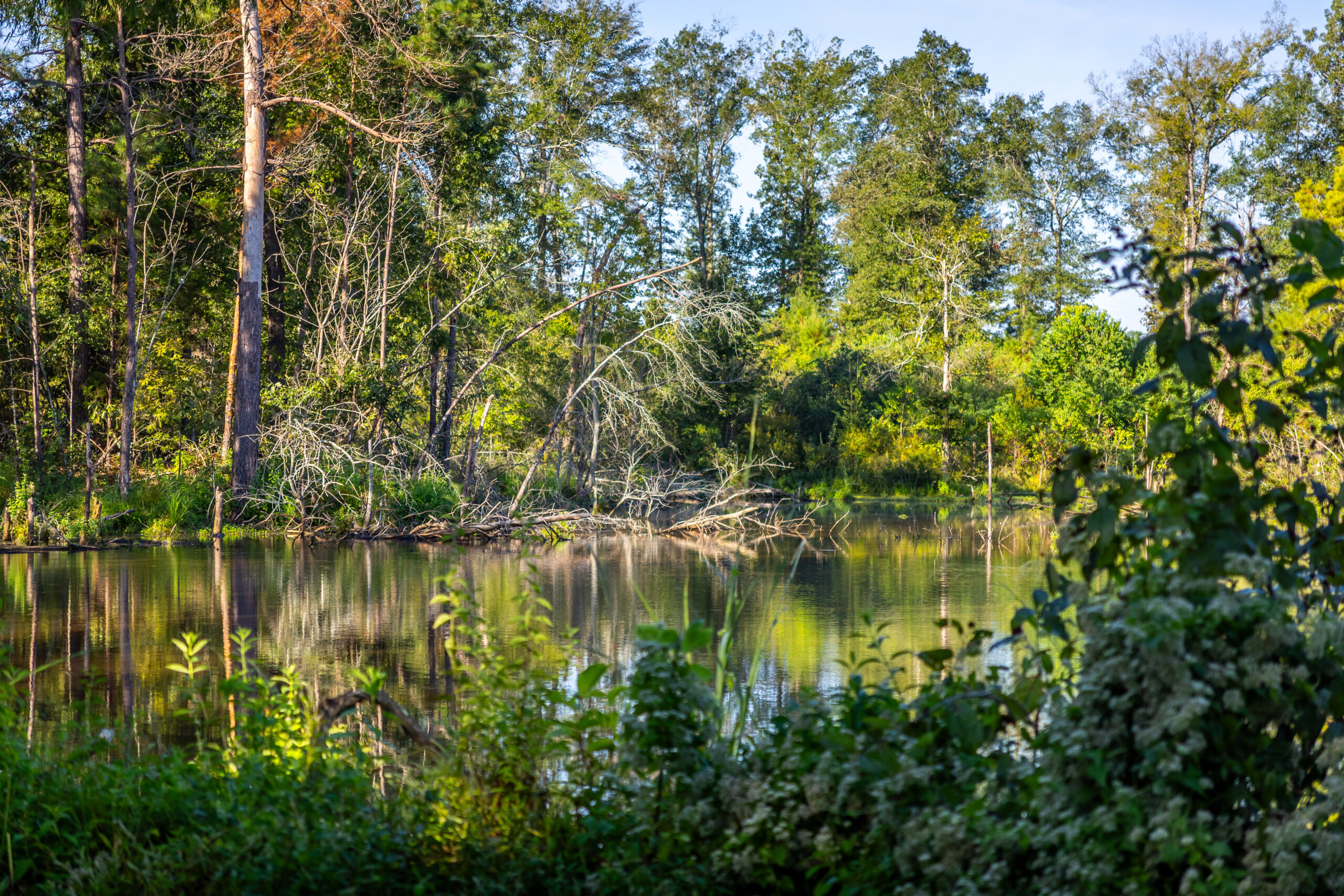 KC Ranch 730 Acre Ranch For Sale In Shelby County Texas Image 18
