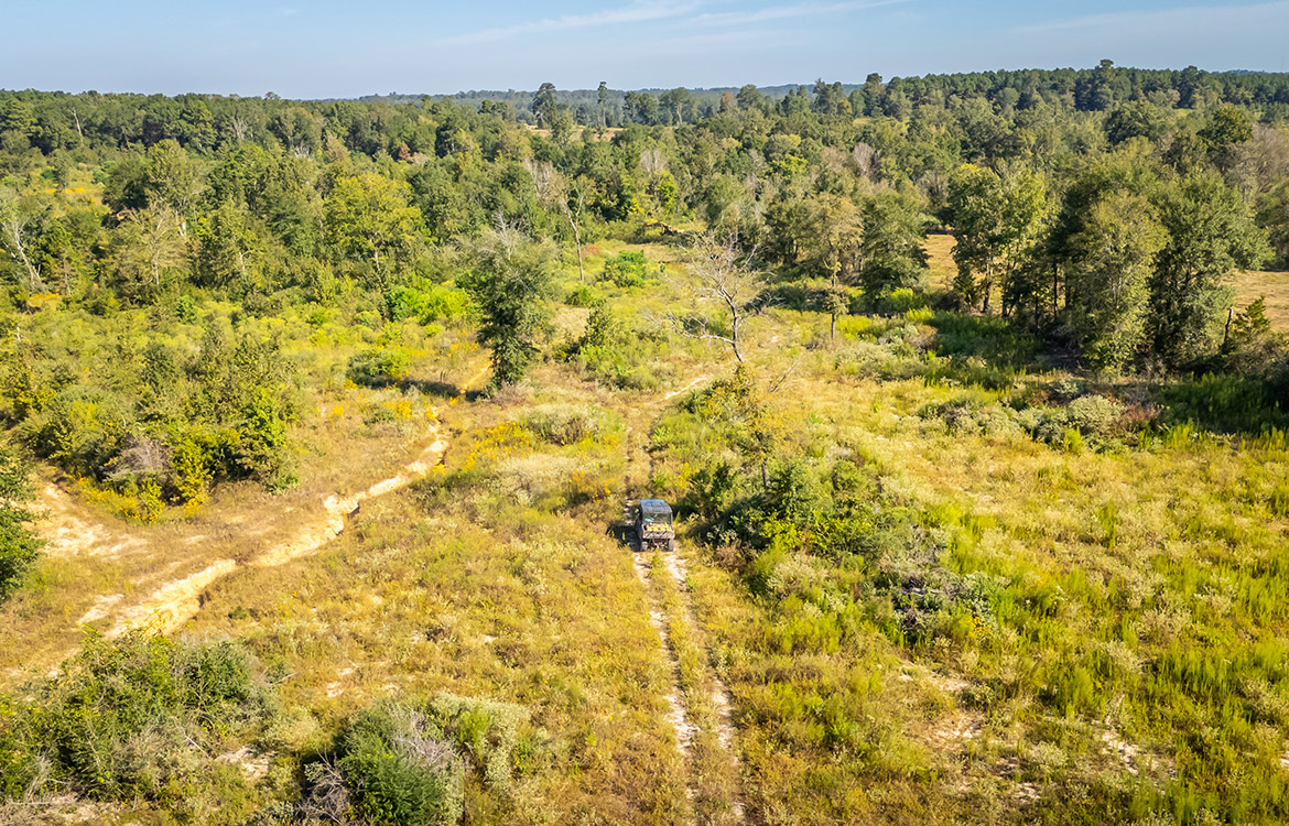 KC Ranch 730 Acre Ranch For Sale In Shelby County Texas Image 19