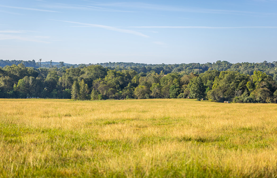 KC Ranch 730 Acre Ranch For Sale In Shelby County Texas Image 2
