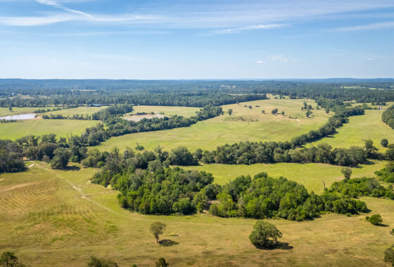 KC Ranch 730 Acre Ranch For Sale In Shelby County Texas Image 23