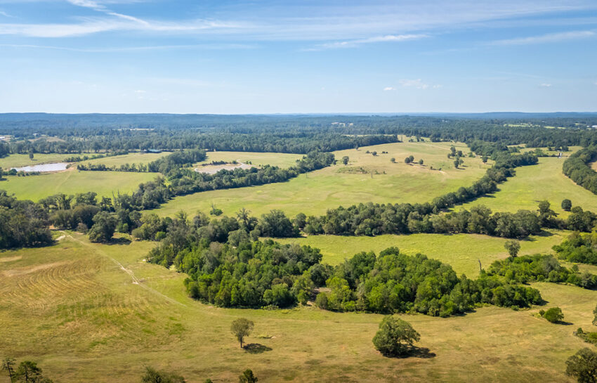 KC Ranch 730 Acre Ranch For Sale In Shelby County Texas Image 23