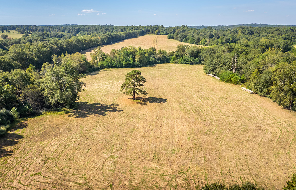 KC Ranch 730 Acre Ranch For Sale In Shelby County Texas Image 6