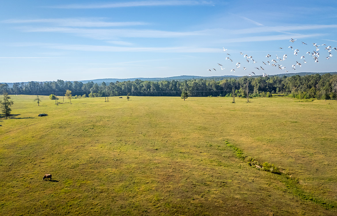 KC Ranch 730 Acre Ranch For Sale In Shelby County Texas Image 9