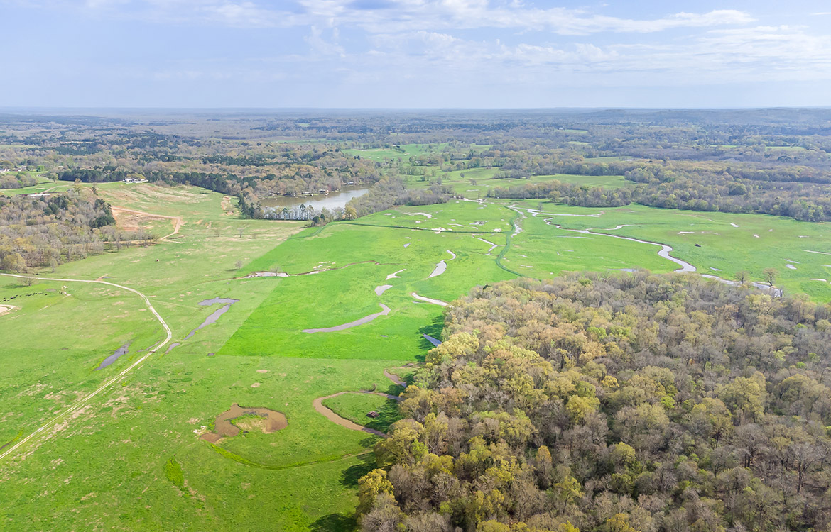 Sandy Creek Ranch 800 Acre Ranch For Sale In Shelby County