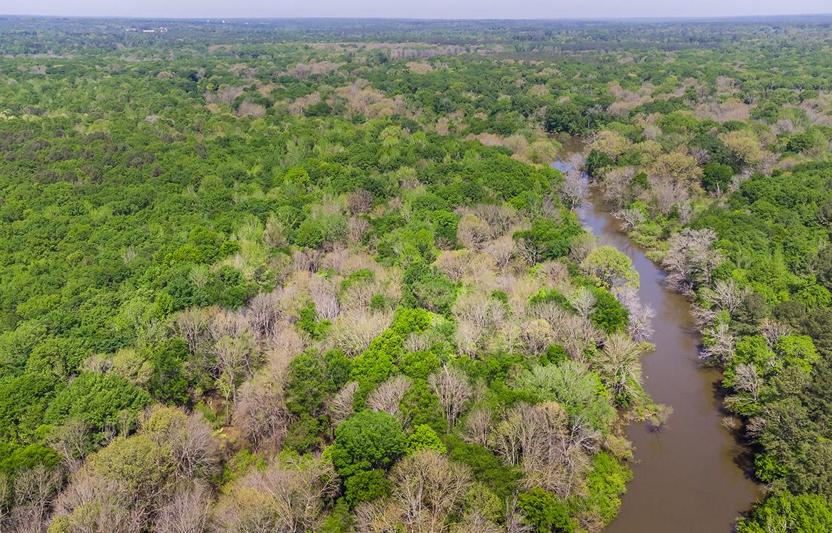 Big Sandy Sabine River Ranch 125 Acre Ranch For Sale In Smith County Image 10