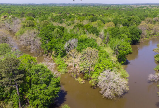 Big Sandy Sabine River Ranch 125 Acre Ranch For Sale In Smith County Image 11