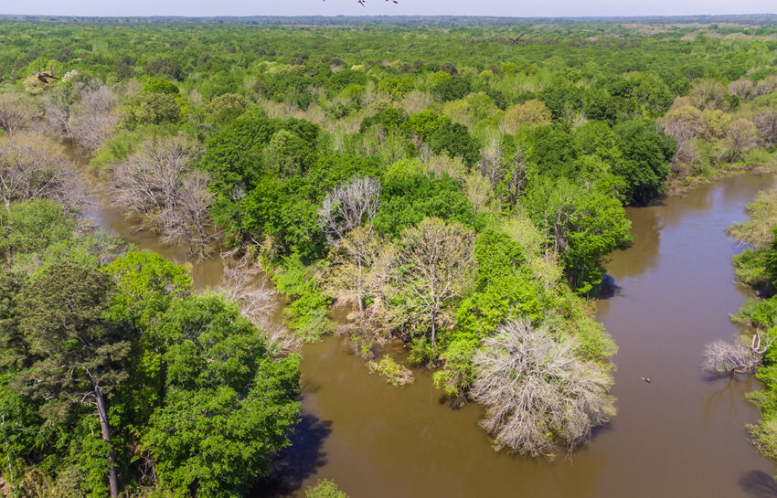 Big Sandy Sabine River Ranch 125 Acre Ranch For Sale In Smith County Image 11