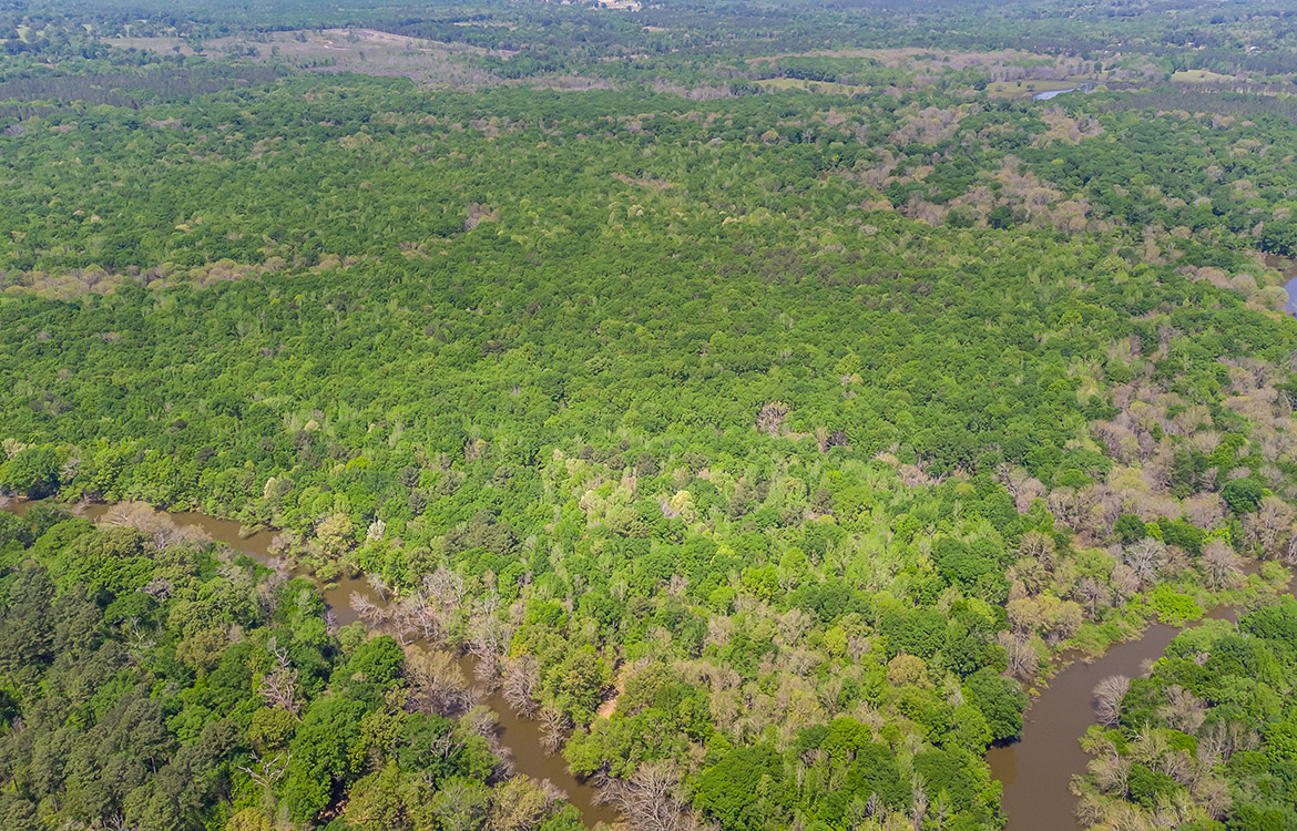 Big Sandy Sabine River Ranch 125 Acre Ranch For Sale In Smith County Image 13