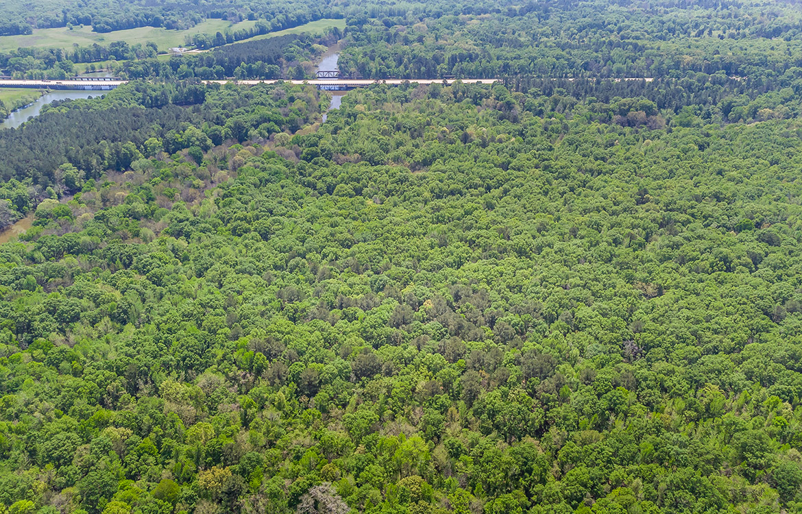 Big Sandy Sabine River Ranch 125 Acre Ranch For Sale In Smith County Image 15