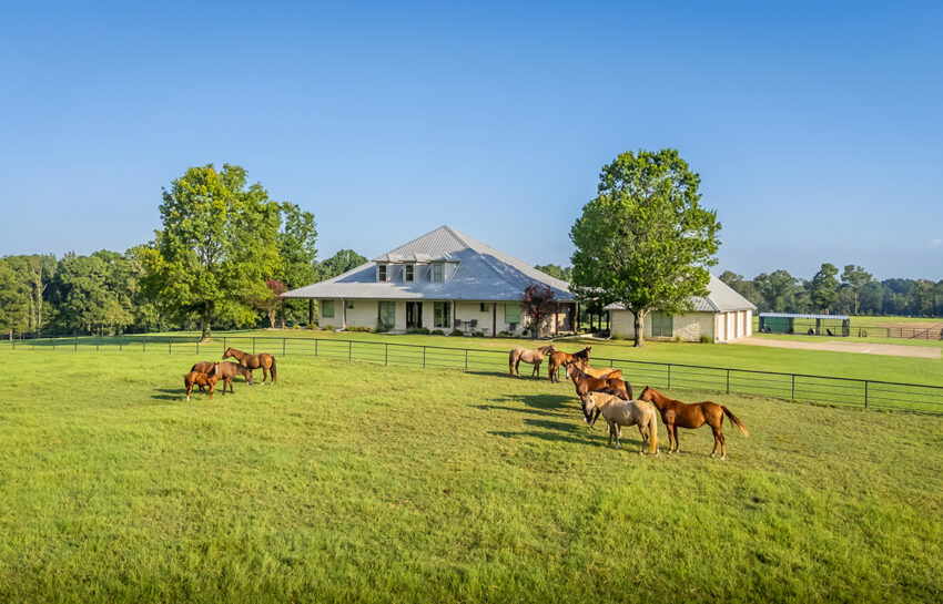 3P Ranch 75 Acre Horse Property For Sale in Smith County Texas Image 1