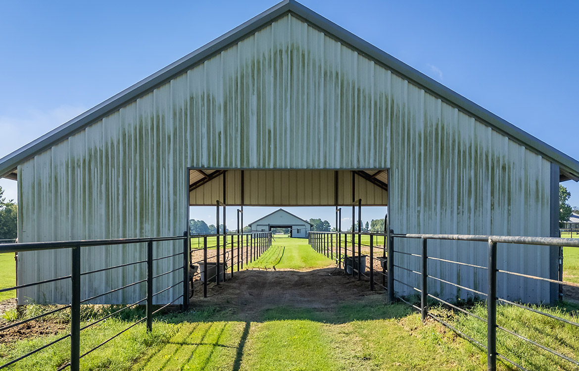 3P Ranch 75 Acre Horse Property For Sale in Smith County Texas Image 13