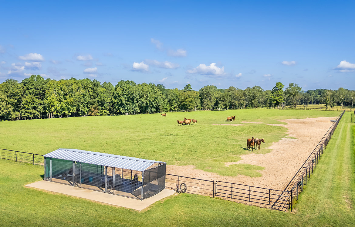 3P Ranch 75 Acre Horse Property For Sale in Smith County Texas Image 15