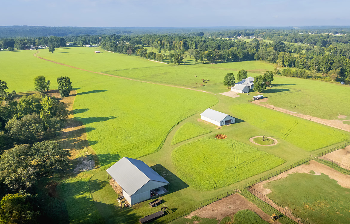 3P Ranch 75 Acre Horse Property For Sale in Smith County Texas Image 17