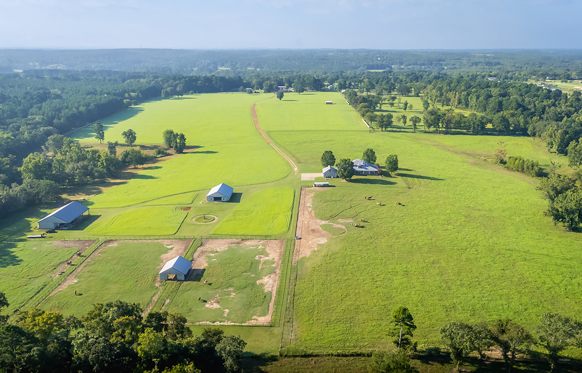 3P Ranch 75 Acre Horse Property For Sale in Smith County Texas Image 18
