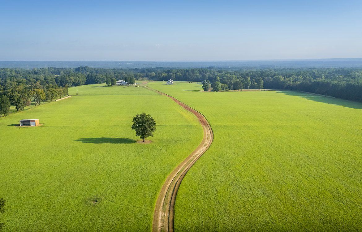 3P Ranch 75 Acre Horse Property For Sale in Smith County Texas Image 19
