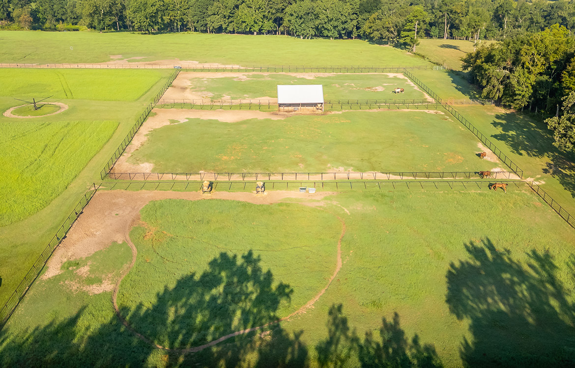 3P Ranch 75 Acre Horse Property For Sale in Smith County Texas Image 20