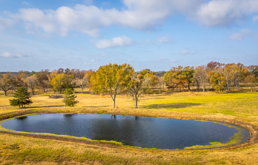 Longhorn Ranch 226 Acre Ranch in Titus County Texas Image 17