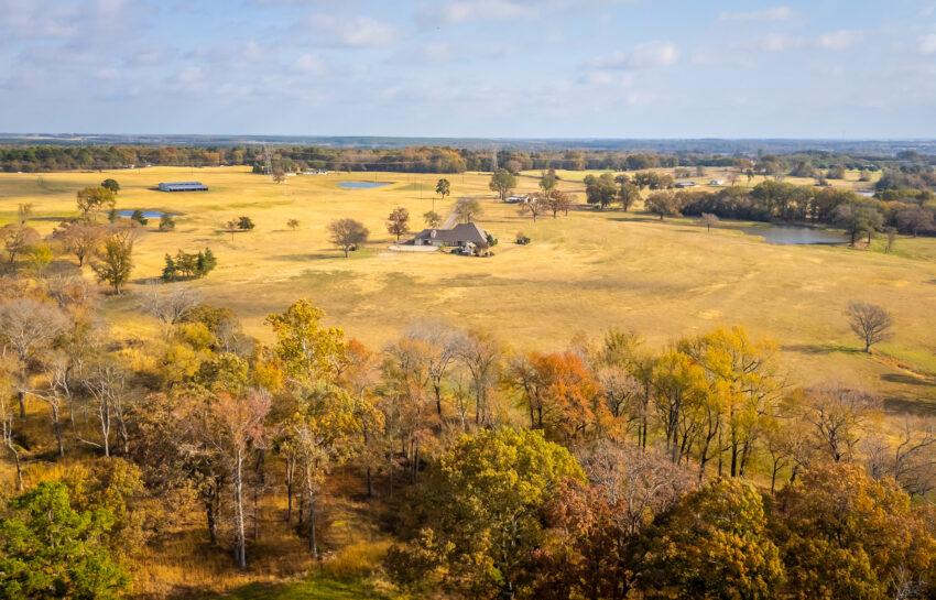 Longhorn Ranch 226 Acre Ranch in Titus County Texas Image 19
