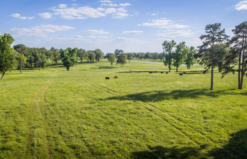 KRB Ranch 675 Acre Cattle Ranch in Titus County, Texas Image 22
