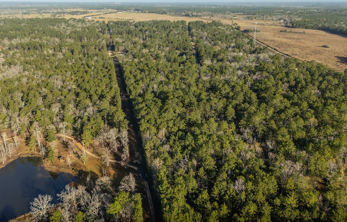 Ivanhoe 40, 40 Acre Ranch For Sale In Tyler County Image 16