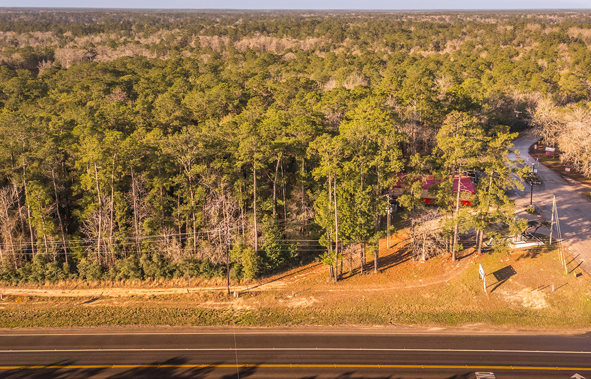 Ivanhoe 40, 40 Acre Ranch For Sale In Tyler County Image 4