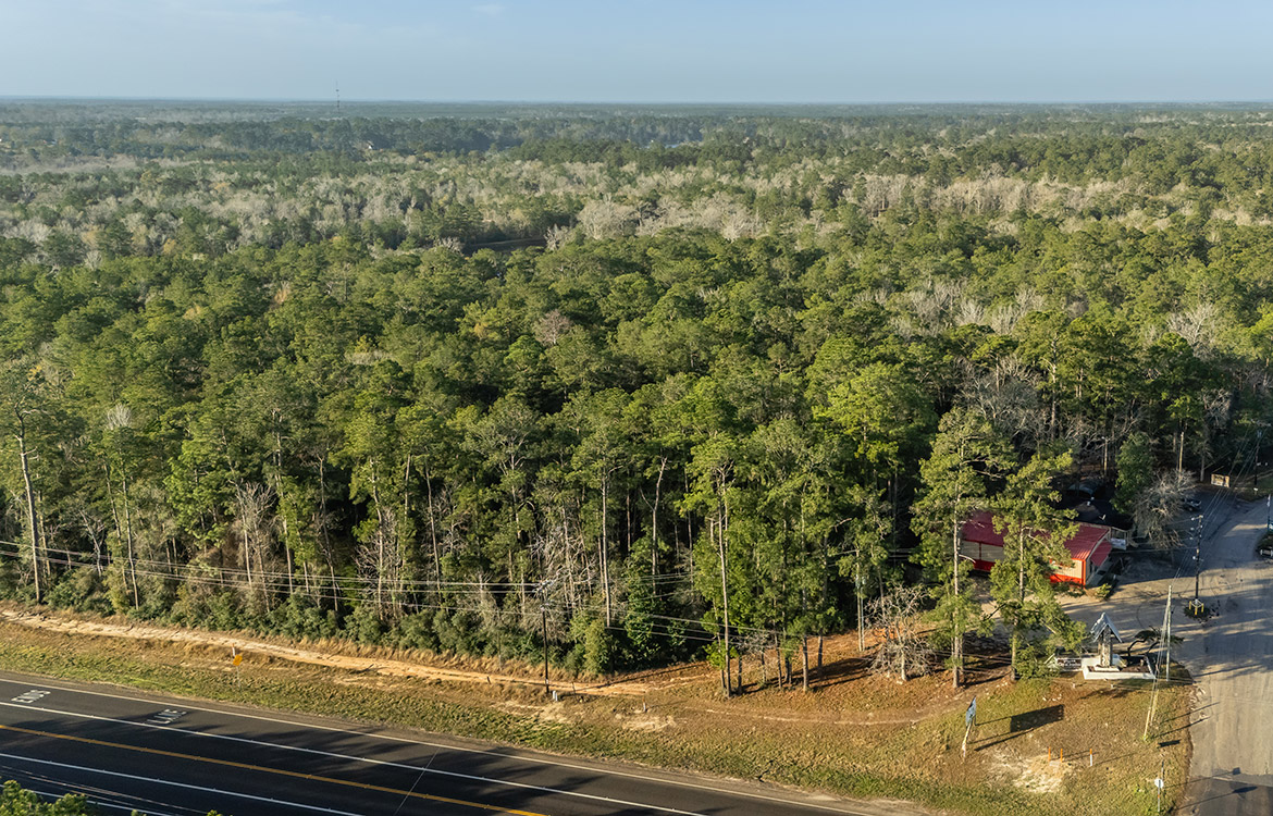 Ivanhoe 40, 40 Acre Ranch For Sale In Tyler County Image 6